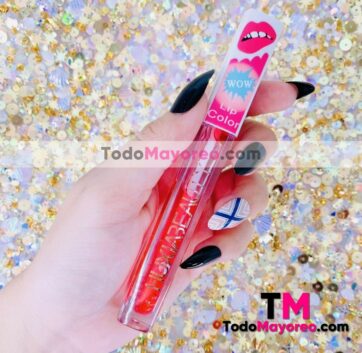 Huxia Beauty Woow Tono 4 Lip Color Gloss  Proveedores por Mayoreo M5108