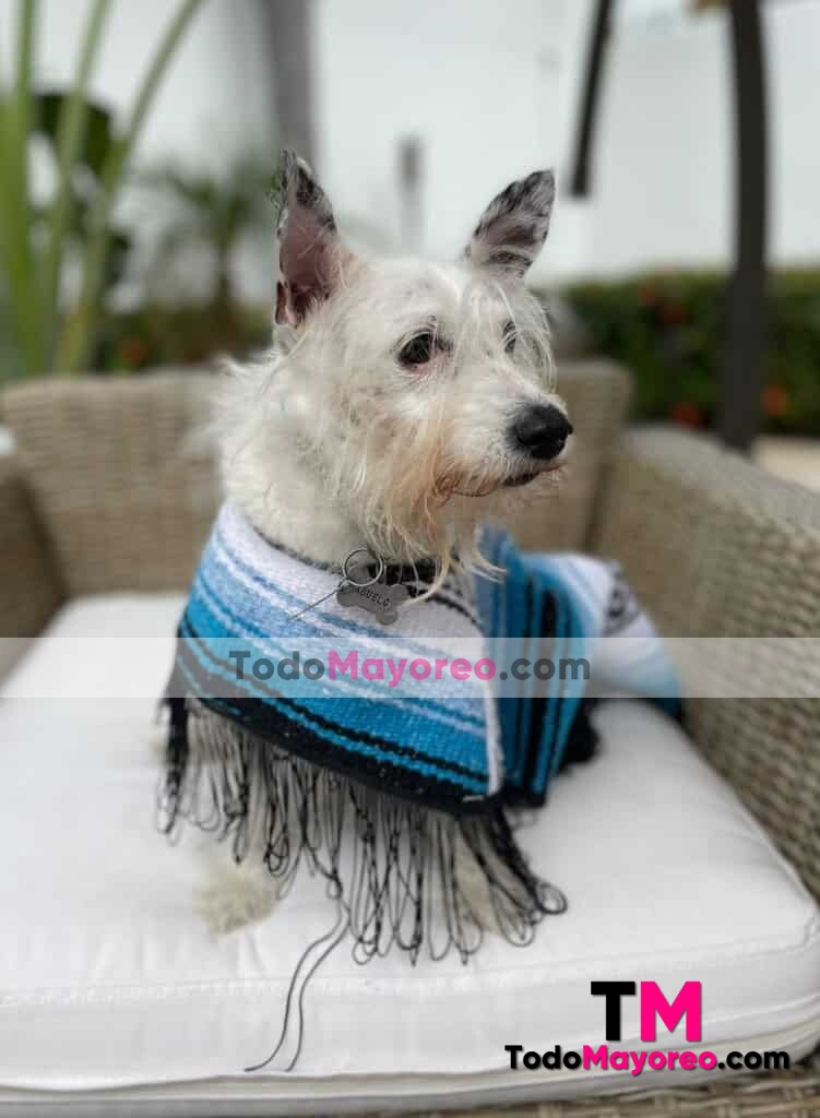 rs00182 Guaguarongo artesanal mexicano para mascota hecho en Chiapas mayoreo fabrica