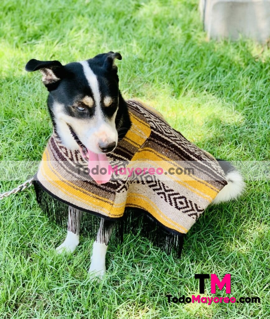 rs00183 Guaguarongo artesanal mexicano para mascota hecho en Chiapas mayoreo fabrica